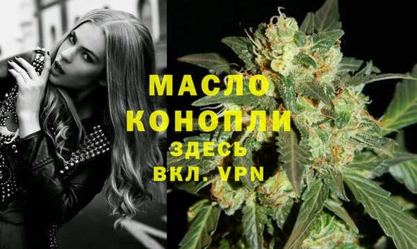 хмурый Надым