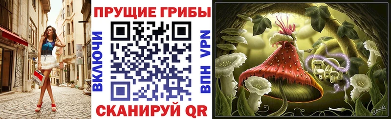 МЕГА tor  площадка наркотические препараты  Галлюциногенные грибы Magic Shrooms  Неман 
